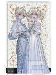 狄俄斯库里等身透卡-FGO柯尼卡美能达天文馆联动