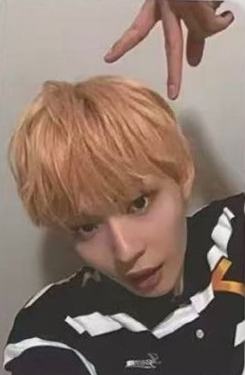 熊宝签售6 猫耳朵ver.