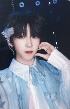 肆意少年见面会家族款单人小卡 博文ver.B