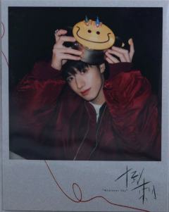 倒刺拍立得 朱 ver.D