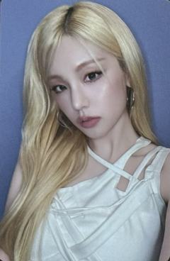 ms签售3.0合影会 志