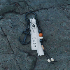 海极之歌领航挂饰-资料图