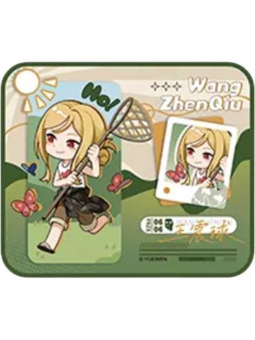 王震球兑换物折叠椅-遇意飞花令（闲趣篇）