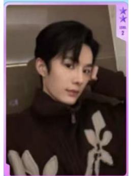 q音星光卡 二星ver.G