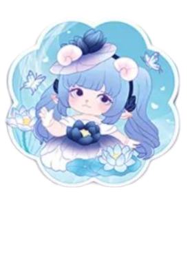 F韵-芳华镜-绒花·墨莲款