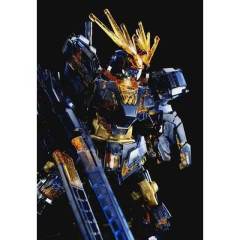 HGUC 报丧女妖 毁灭模式 NT-D透明版-资料图