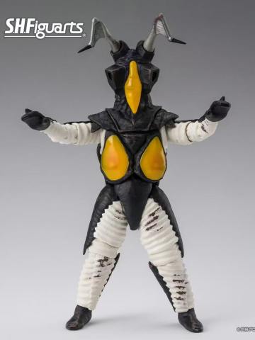 SHF 杰顿 60th Anniversary Edition