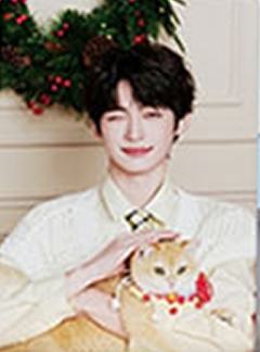 网易严选代言小卡 ver.D