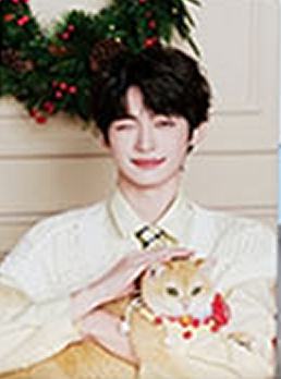 网易严选代言小卡 ver.D