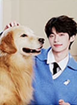 网易严选代言小卡 ver.E