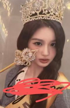 数星星上海签售2.0 3