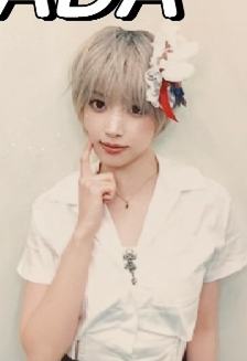 数星星上海合影会证件照6