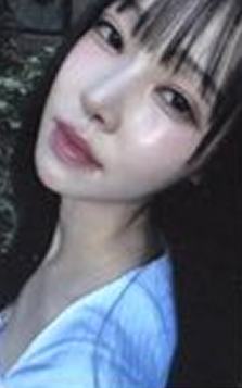 platform版专卡 ver.B