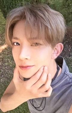 d社a版固配1 ver.B