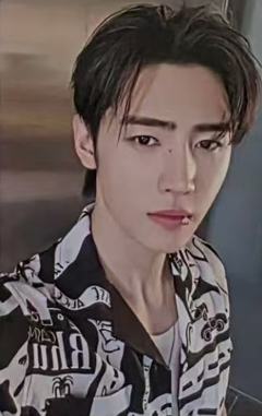 d社b版固配4 ver.B