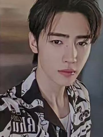 d社b版固配4 ver.B