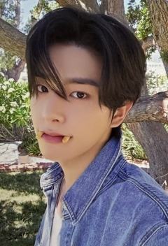 d社a版固配3 ver.B