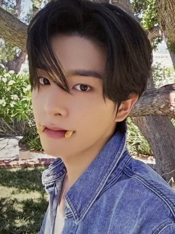 d社a版固配3 ver.B