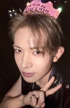 d社b版固配1 ver.B