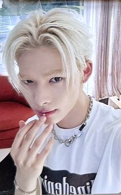 d社b版固配7 ver.A