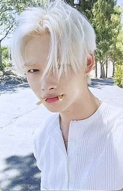 d社a版固配7 ver.C