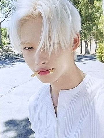 d社a版固配7 ver.C