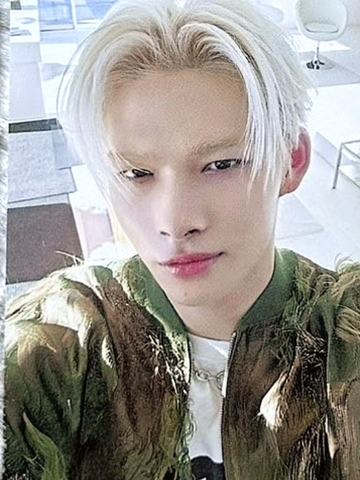 d社b版固配7 ver.B