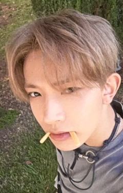 d社a版固配1 ver.A