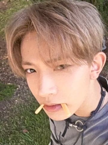 d社a版固配1 ver.A