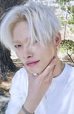 d社a版固配7 ver.A