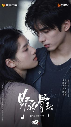 张婧仪-1