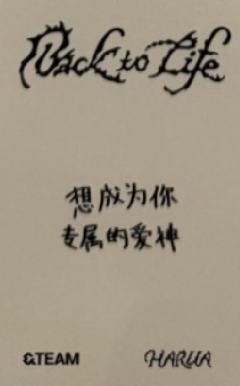 yzy预售7-资料图