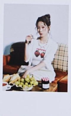 26台历固配拍立得 叶