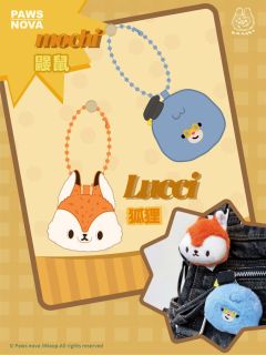 狐狸Lucci-资料图