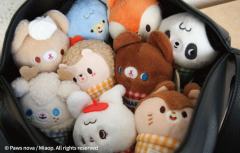 KUMARU AND FRIENDS雪糕筒毛绒挂件系列-资料图