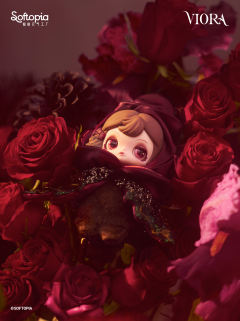 不待花期系列-资料图