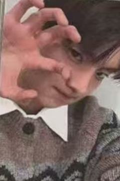 wm6.0 Q 秋日男友ver.