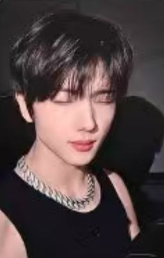 京东预售 星 ver.B