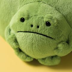 里奇雨蛙收纳包-资料图