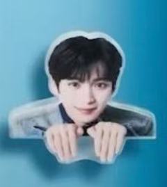 科颜氏代言趴趴夹