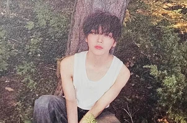 试听会入场明信片7