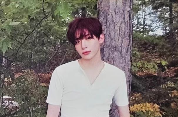 试听会入场明信片3