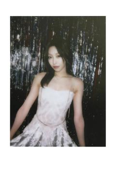 小红包生日派对拍立得 林 ver.B