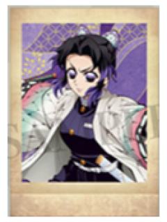 蝴蝶忍1拍立得-movic其之八系列