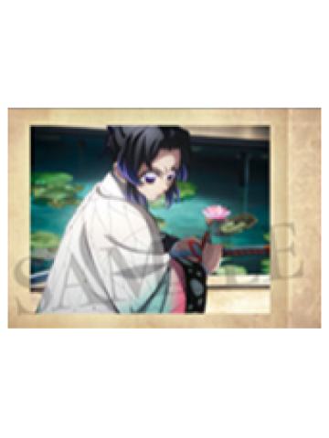 蝴蝶忍2拍立得-movic其之八系列