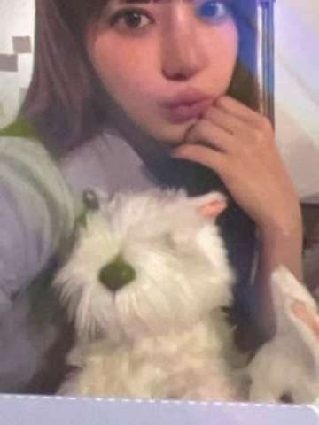 26台历快闪中区满额 樱