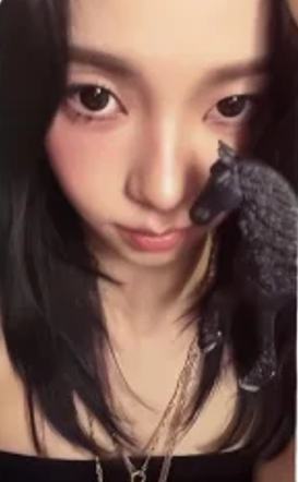 a版随机卡 柚ver.A