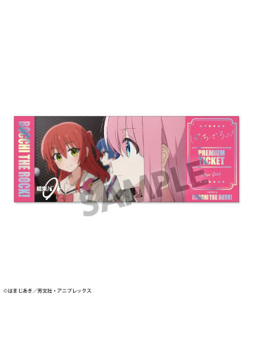 多人镭射票-HS演唱会门票风场面写系列