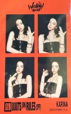 26台历后续四宫格 柚