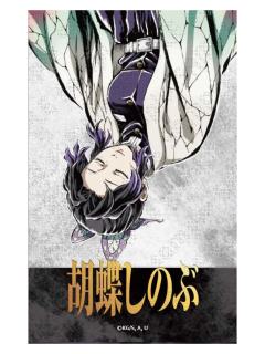 蝴蝶忍-D赏拍立得风相卡